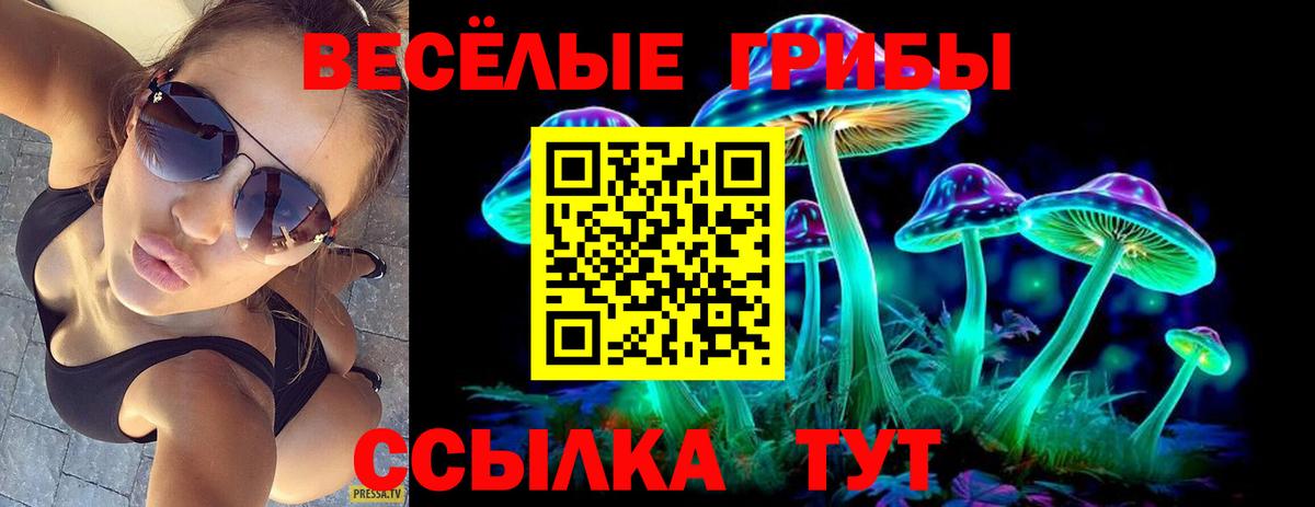Выкса  как найти закладки  Галлюциногенные грибы Magic Shrooms  Вход с VPN  Псилоцибиновые грибы Cubensis 